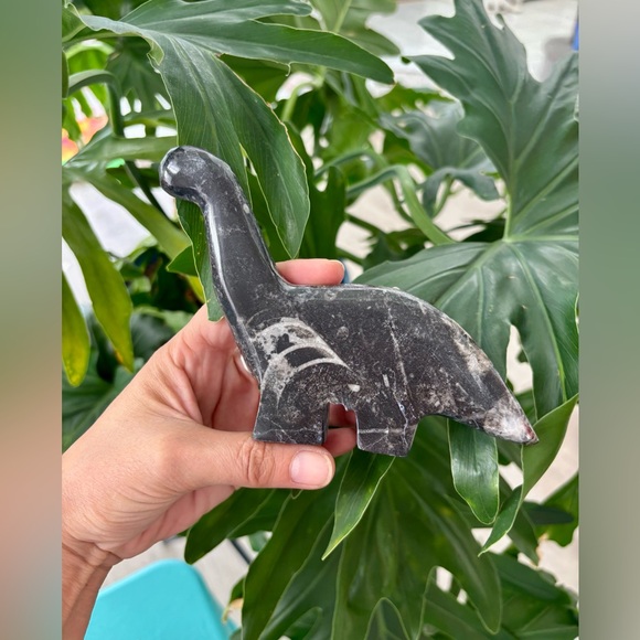 Other - Orthoceras dinosaur